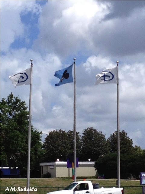 Spot the Mickey flag!