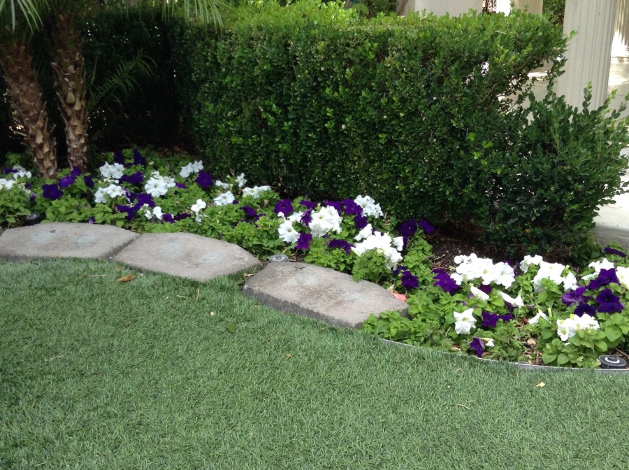 Pretty flowers surround the Wedding Garden