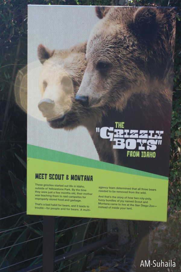 sdzoo5